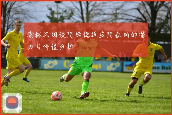 谢林汉姆谈阿诺德适应阿森纳的潜力与价值分析