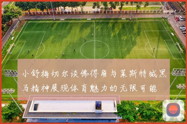 小舒梅切尔谈佛得角与莱斯特城黑马精神展现体育魅力的无限可能